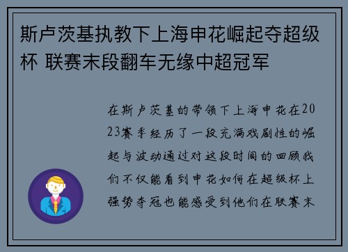 斯卢茨基执教下上海申花崛起夺超级杯 联赛末段翻车无缘中超冠军